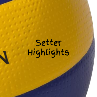 Setter Highlights